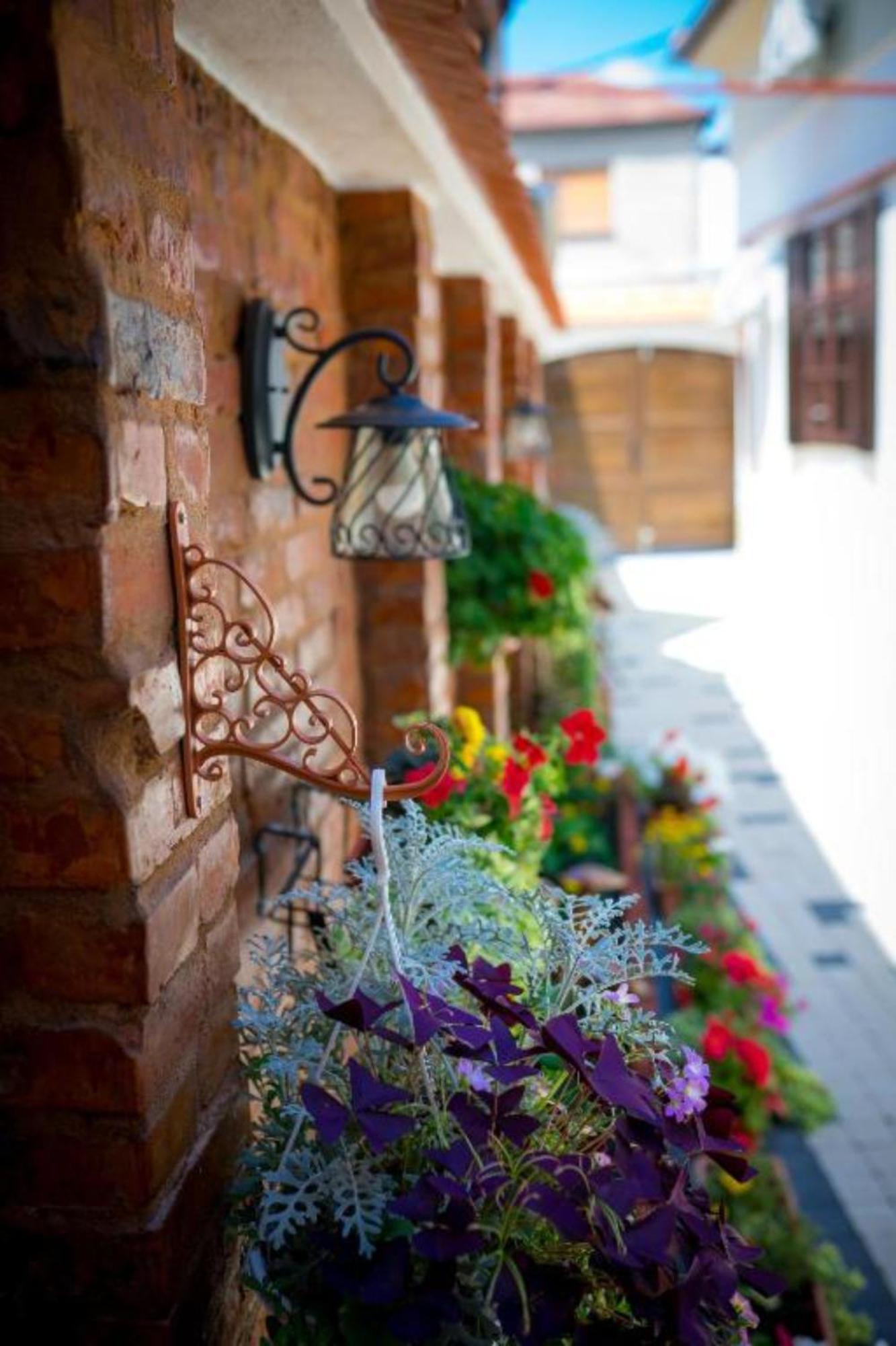 Cochet House Sibiu Aparthotel Exterior photo